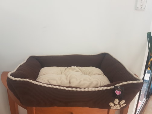brown bed